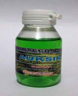 AUKSIN
