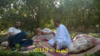 الحسينى محمد , رجب الشبراوى , ايمن لطفى