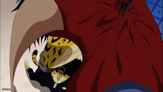 ワンピース アニメ 総集編 麦わらの一味とCP サイファーポール ONE PIECE Straw Hats vs. Cipher Pol