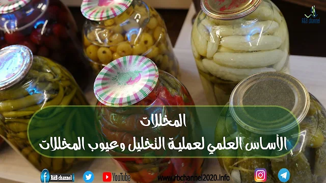 المخللات | الأساس العلمي لعملية التخليل وعيوب المخللات