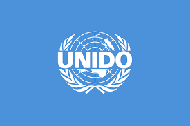 Job Opportunity at UNIDO: Project Assistant