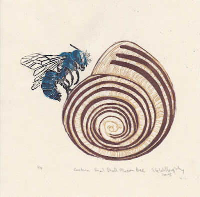 Eastern Snail Shell Mason Bee, linocut by Ele Willoughby, 2023