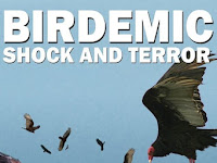 Ver Birdemic: Shock and Terror 2010 Online Latino HD