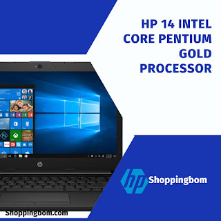 HP 14 Intel Core Pentium Gold Processor