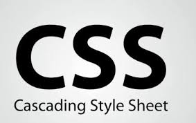 CSS Part 3 : Jenis Jenis Selector Pada CSS 