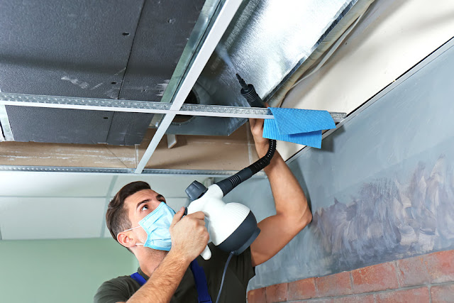 mould-removal-in-melbourne