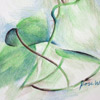 colored pencil drawing of philodendron, copyright Rose Welty