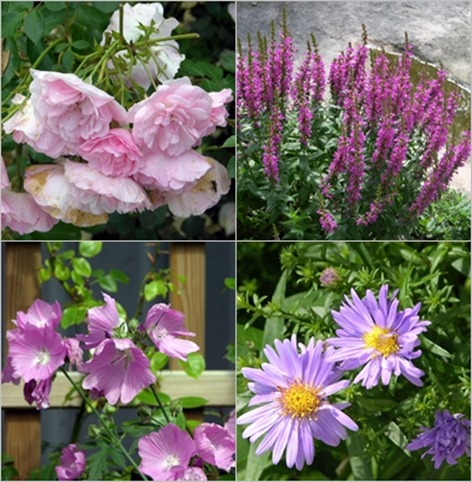 15 blomster