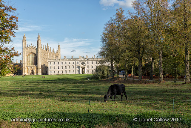 Cambridge Kings  college