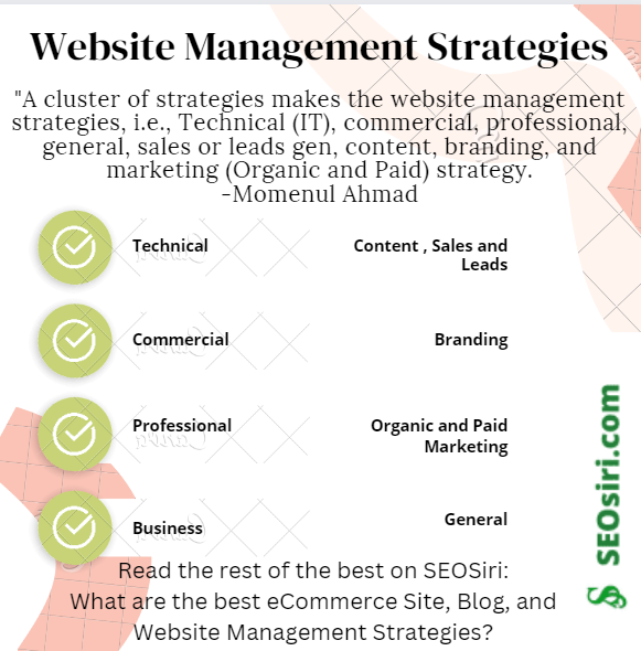 Website Management Strategies