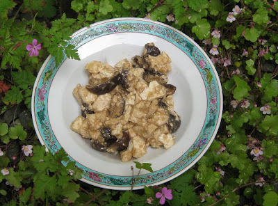 Geschmorter Tofu mit Shiitake-Pilzen