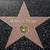 Vandal destroys Donald Trump's Hollywood Walk of Fame star (photos)