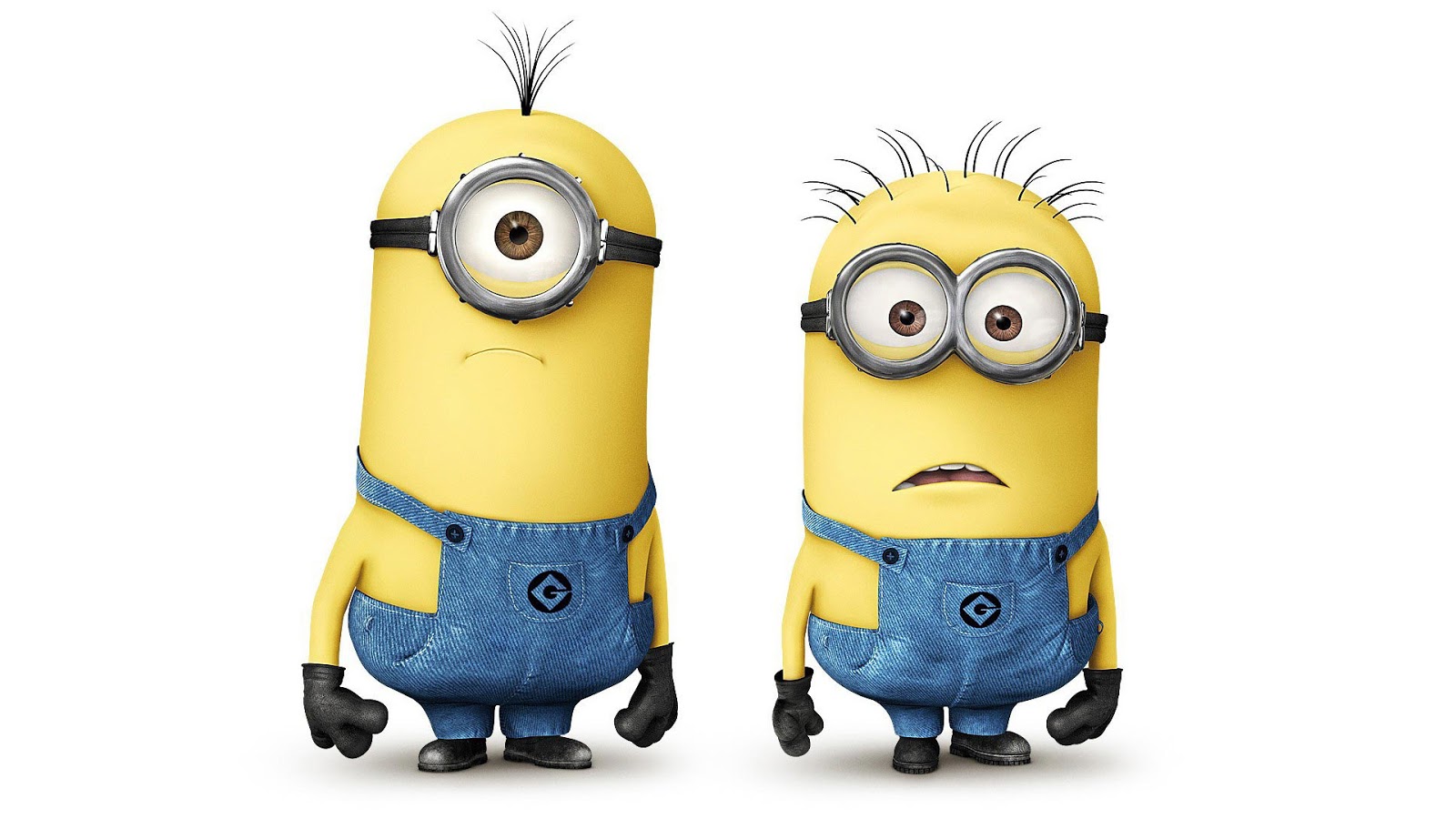 Foto Lucu Bergerak Minion Terlengkap Display Picture Unik