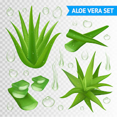 Aloe Vera Skincare Methods