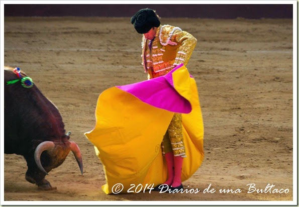 Toros 2014 (2)-25