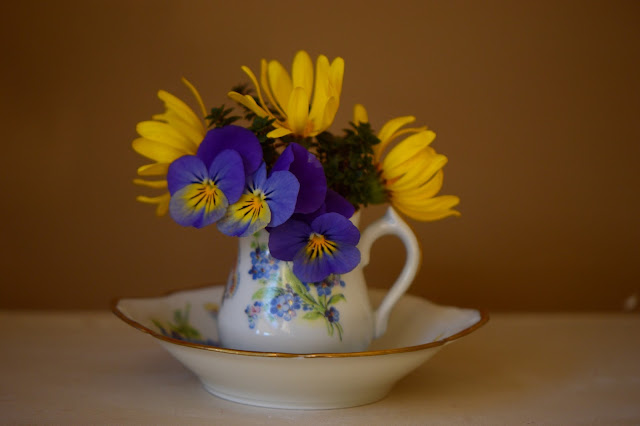 monday vase meme, violas, daisies, marguerites, flower arrangement, amy myers, small sunny garden, desert garden