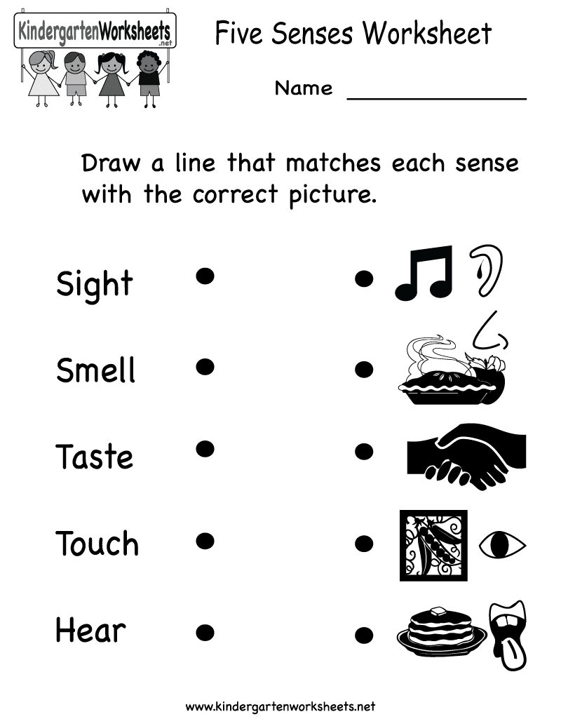 for Worksheets 5 five  Grade   senses Senses Unity Blog: Science C    on 1 1  worksheets Arab School grade