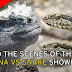 BBC Planet Earth Iguana Vs. Snakes Behind The Scenes