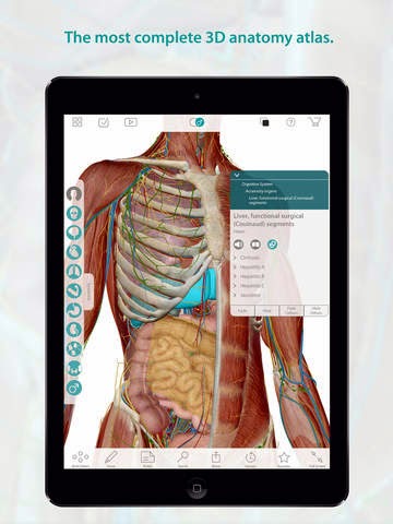Human Anatomy Atlas – 3D Anatomical Model of the Human Body vers 7.1.10 