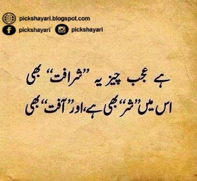 Urdu Quotes