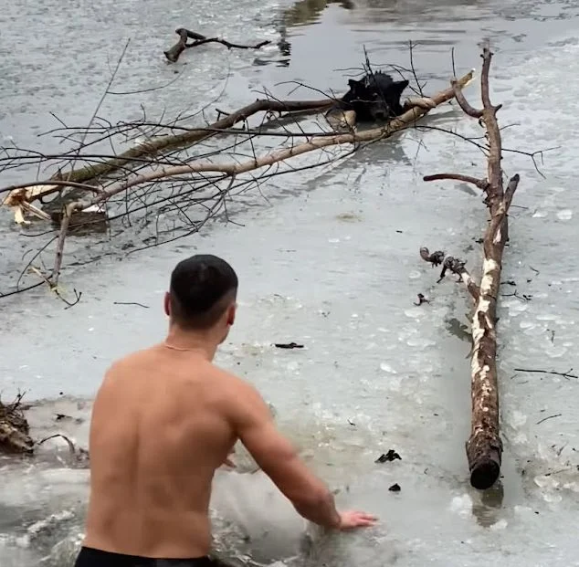 Diving-Into-A-Frozen-Lake-To-Rescue-This-Poor-Dog-Dog-rescue-and-adoption-tales
