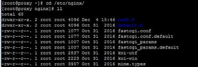 How to configure NGINX as a reverse proxy on linux step by step guide