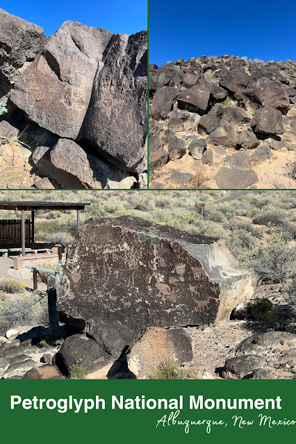 Petroglyphs, Views, Lizards, and Roadrunners at Petroglyph National Monument in New Mexico