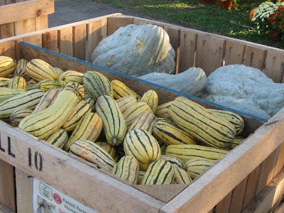 Stuffed Delicata Squash