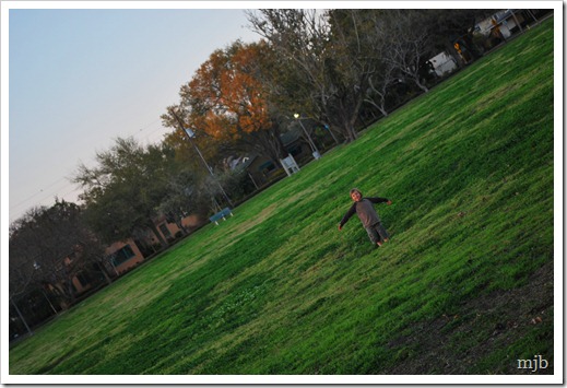 field