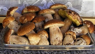 Funghi porcini.