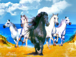 Horse Animals Beutifu wallpaper HD quality status instagram facebook free download mobile Desktop