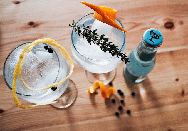 diy,gin-tonic,comment-faire,maison,meilleur,recette,lukas-lavoie,madame-gin