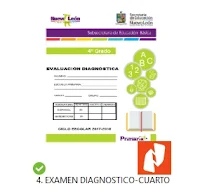 Exámenes Diagnostico Primaria SENL