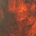 Πυρκαγιά στο Πικέρμι: Οι φλόγες έγλειψαν τις αυλές σπιτιών! 