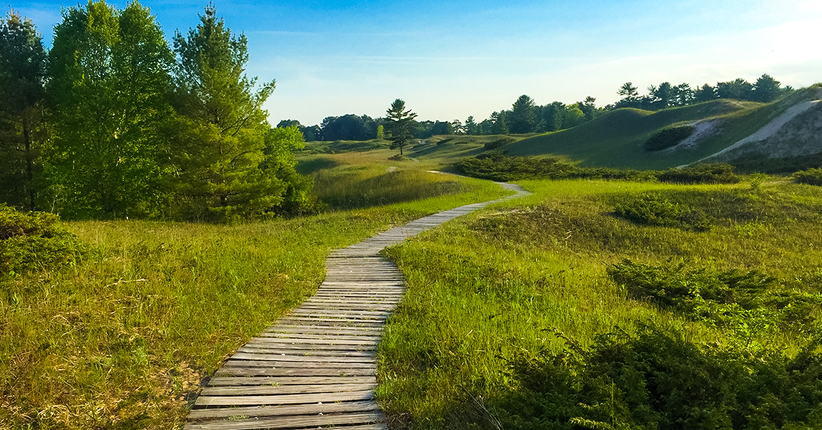 Dunes Trail at Kohler-Andrae State Park