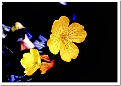 _IGP0216.PEF