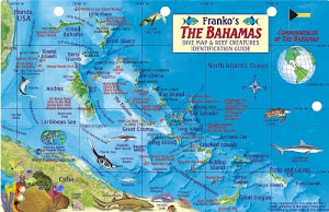 Bahamas Map & Reef Creatures Guide Franko Maps Laminated Fish Card