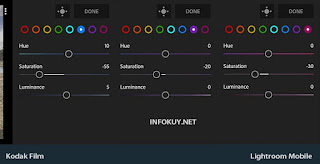 MIX Lagi  - Tutorial Edit Foto Kodak Film Lightroom