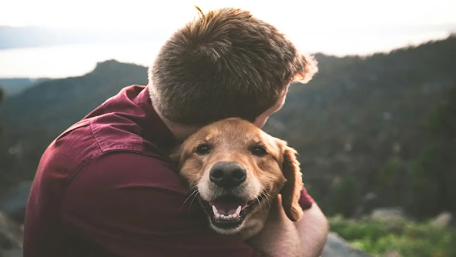 Dog with man