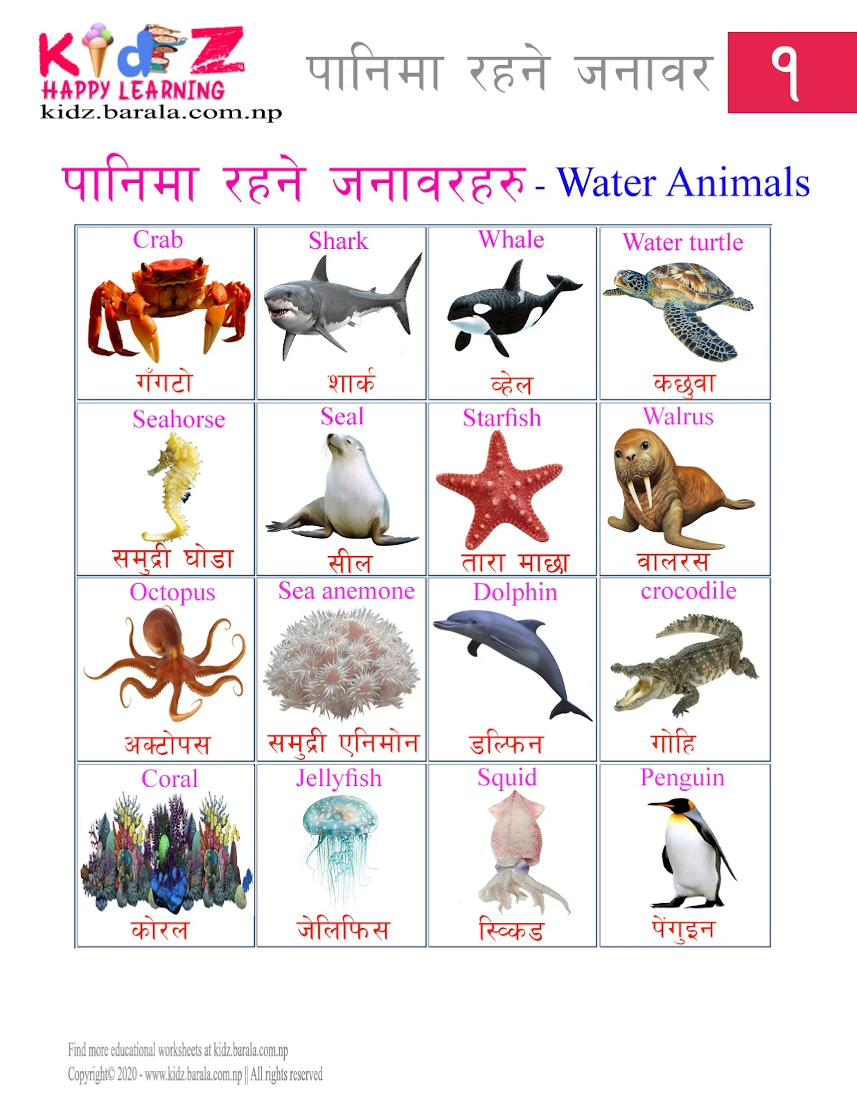 Water Animals Name in Nepali and English पानिमाहुने जिवहरूको नाम
