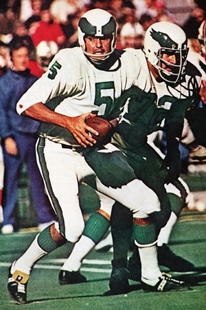 Today in Pro Football History: 1973: Eagles Pay Heavy Price in Trade with  Rams for Roman Gabriel