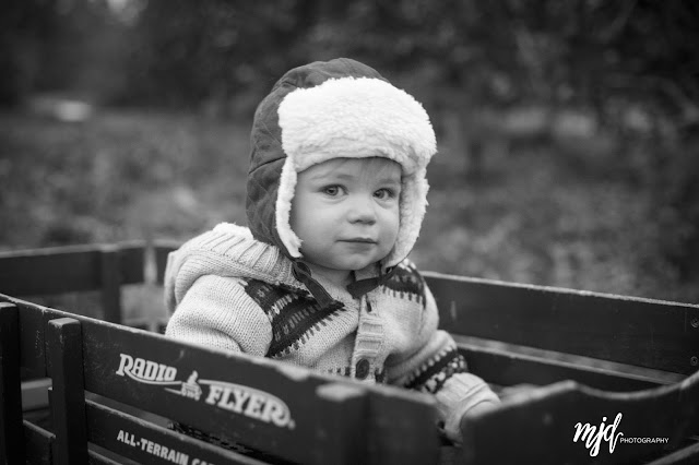 MJD Photography, Martha Duffy, Davidson Family, Lifestyle Family Session, Mack's Apple Orchard, Londonderry, NH, New Hampshire, New Hampshire Family Photographer