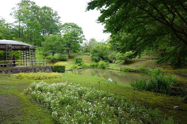 鳥取県西伯郡南部町鶴田 とっとり花回廊 花の谷