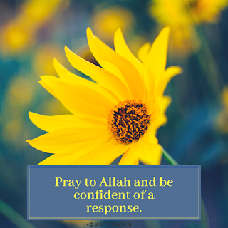 Pray to Allah and be confident of a response.