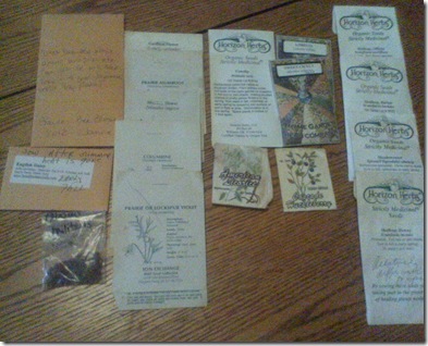wintersown seeds
