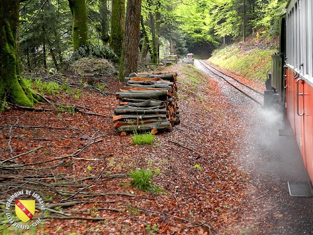 ABRESCHVILLER (57) - Le train touristique