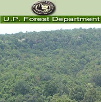 UP Forest Department Recruitment