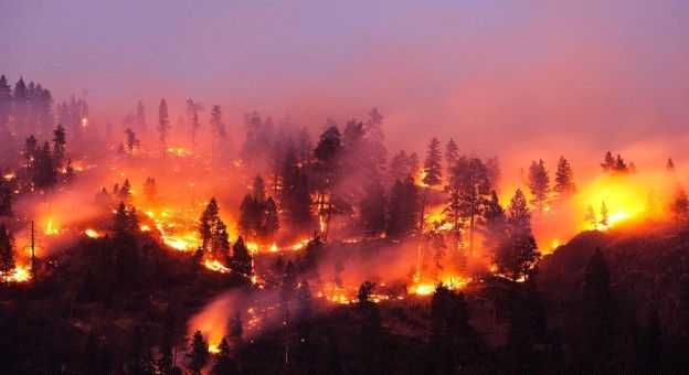 Uttarakhand News : Summer Starts, जंगलों में आग लगने का सिलसिला जारी।
