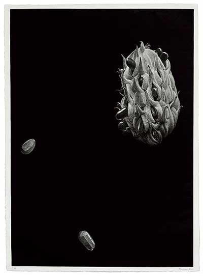 “Essence, Truth, Reality No.13”  บุญมี  แสงขำ, Mezzotint 105-75 ซม. ปี 2554
