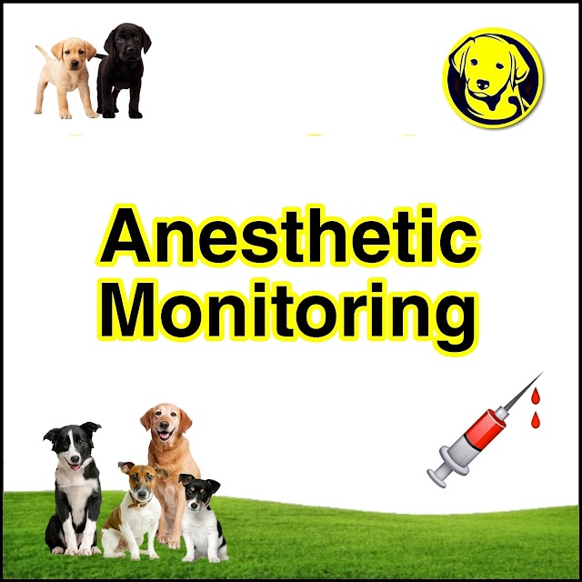 Free Download Anaesthetic Monitoring Full Pdf